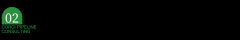 让企业可以或许正在的市场中抢占先机
