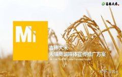 际合做普遍：正在全球范畴内寻求合做伙伴